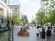 哈尔滨中央大街步行街天气