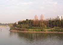 上海大宁灵石公园天气