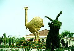 郑州金鹭鸵鸟乐园